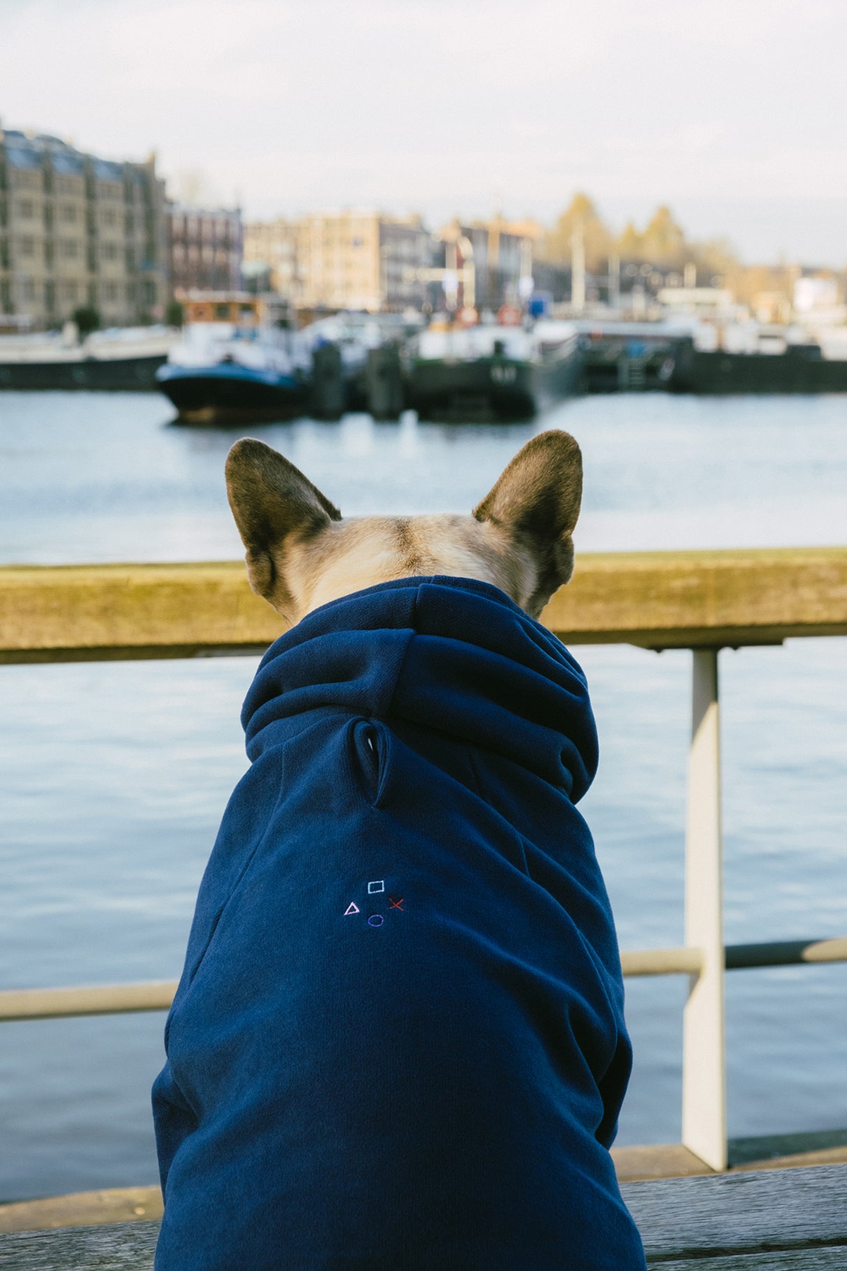 Gamer SuperSoft Köpek Hoodie - Lacivert