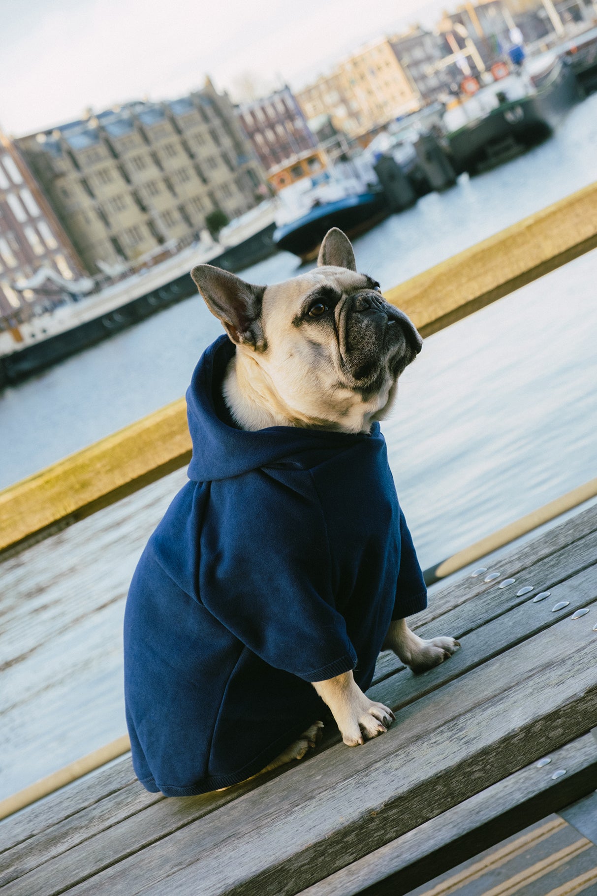 Gamer SuperSoft Köpek Hoodie - Lacivert