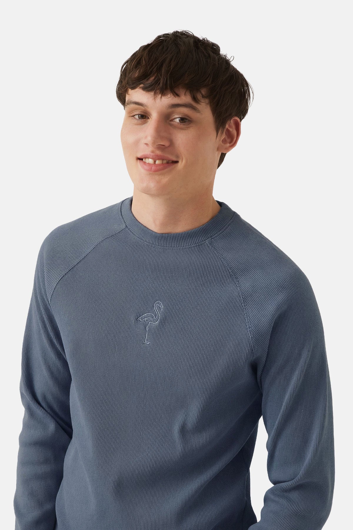 Flamingo Ribanalı Sweatshirt - Flint Mavi