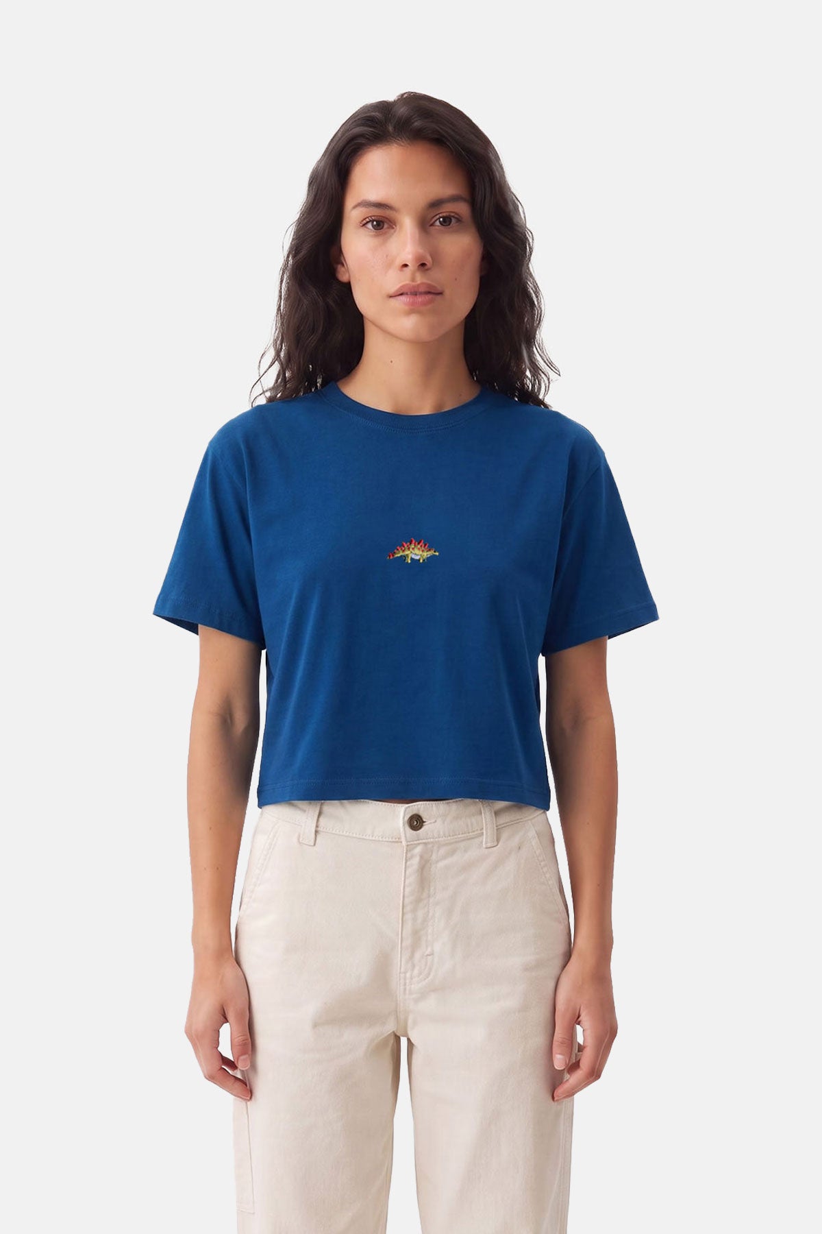 Sırtı Plakalı Dinozor Lightweight Crop T-shirt - Lacivert