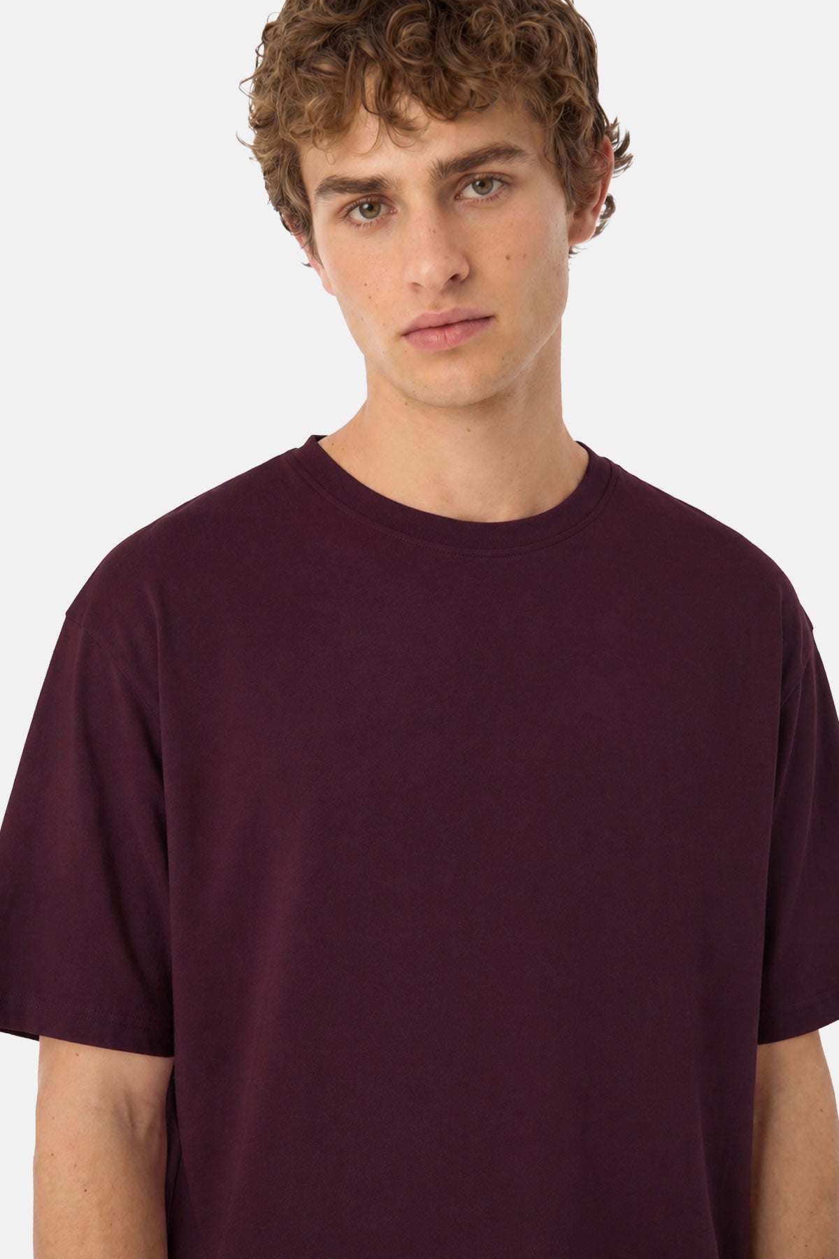 Basic Premium T-shirt - Mürdüm