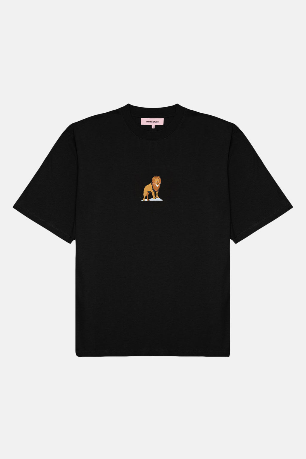 Aslan Lightweight T-Shirt - Siyah