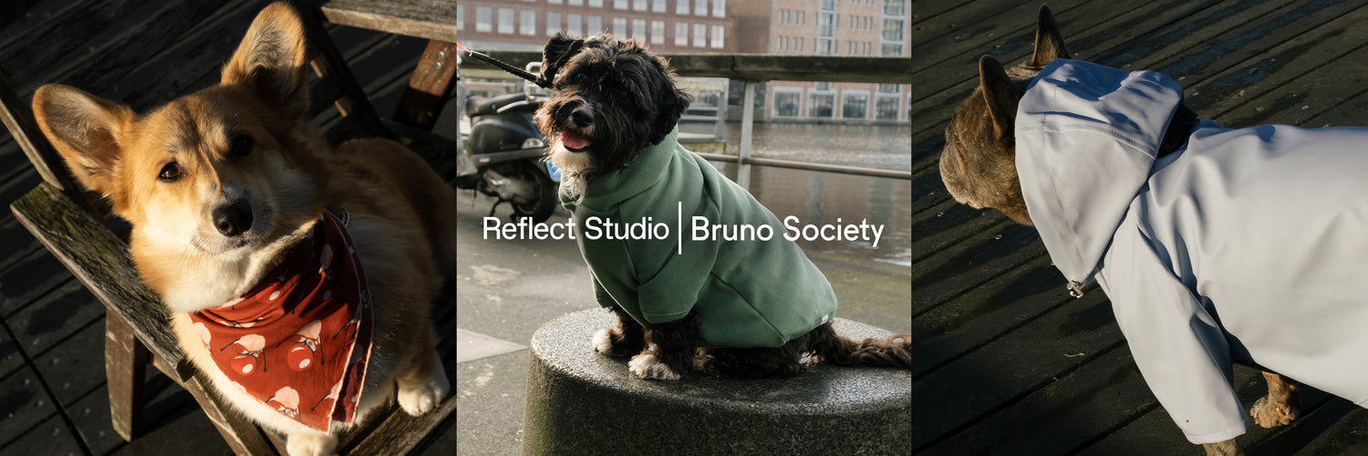 Reflect Studio I Bruno Society